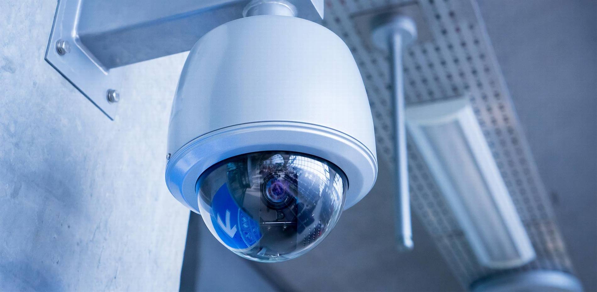 #1 Best Security Camera Company: CAT6 CAT7 CAT8 Network vs Wiring Installer Low Voltage Fiber Optic Daytona Beach